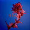 Heart - Peter Cruseder