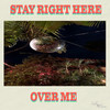 Over Me (Original Mix) - P-Sol