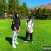 Mixed Emotions (Explicit) - ICY KID&Valious