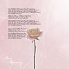 Beginning - Reme