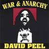 Riot In America - David Peel&Wayne Kramer