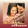 Someday We'll Know (Album Version) - Mandy Moore&Jonathan Foreman