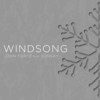 Windsong - John Forte&Sunsay