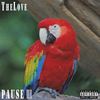 Pause, pt. 3 - TheLove