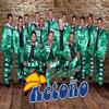 Traje Flores(feat. Sergio Antonio) - BANDA RETOÑO REYNA DEL JARIPEO&Sergio Antonio