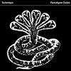 Selfdestructo Bust - turbonegro