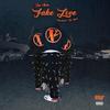 Fake Love (Explicit) - Zay Milli