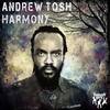 Harmony (Instrumental Dub) - Andrew Tosh&Ky-Mani Marley