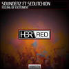 Feeling Of Excitement (Original Mix) - Sounderz&Sedutchion