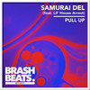 Pull Up - Samurai Del&Lil House Arrest