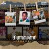 MAMAWAMI (TELEKI) (feat. Mashwabade, SK1, A2K, Laqasha & Siwe) - Dj Mapawa&Mashwabade&SK1&A2K&Laqasha&Siwe