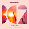 Sunrise (Brian De Santis Remix) - Brian De Santis&Artem Arknet