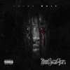Tryna Remember (Explicit) - Young Walt&Ed West