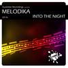 Into The Night (Braulio V Official Remix) - Melodika