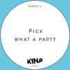 What a Party - Picx