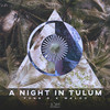 A Night in Tulum - Funk D&Waldo&Dirk Bons