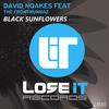 Black Sunflowers (Radio Edit) - David Noakes&The Frontunnaz