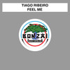 Feel Me (Fragoso PH Zero Mix) - Tiago Ribeiro