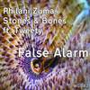 False Alarm (Original Mix) - Philani Zuma&STONES&Bones&Tweety