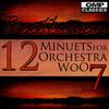 12 Minuets for Orchestra, WoO 7: No. 8 in B-Flat Major - Bratislava Chamber Orchestra&Vlastimil Horak