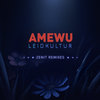 Rückblick (Remix) - Amewu&Chefket