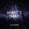 Whats That - Quadrini