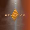 Bénéfice - Lema