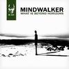 Invisible Tears - Mindwalker