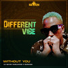 Without you - Dj Seven Worldwide&BARNABA