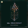 Outer Temple (Krippsoulisc Remix) - ZaVen