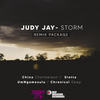 Storm (China Charmeleon The Animal Mix) - Judy Jay&China Charmeleon