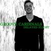 Delayed Flight (Original Mix) - Groove Cardinals