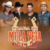 Praga de Mula Véia - Mayck & Lyan&Fernando & Sorocaba