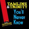 You'll Never Know - Tamlins&Trinity