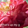 What's up My G - Life