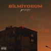 Bilmiyorum (Explicit) - Pavese