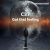 Got That Feeling (Original Mix) - C37