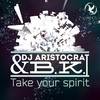 Take Your Spirit (Extended Mix) - DJ Aristocrat&B.K.