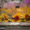 Intro (Life is Short) (Explicit) - Frisco Boogie