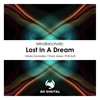 Lost in a Dream (Poli Siufi Remix) - Mindlancholic&Poli Siufi