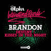 Destiny (Club Mix) - Brandon&Charles Christopher