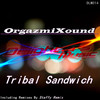 Tribal Sandwich (Staffy Remix) - OrgazmiXound&Staffy