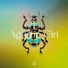 Provoke - Agustin Giri