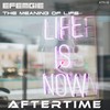 The Meaning of Life - Efemgie