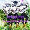 Swingtime (Playpat & King Radio Mix) - Luke Dreamhood&Playpat & King