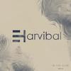 Waves (Original Mix) - Paul Haro