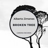 Broken Tree - Alberto Jimenes