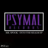 Heavy Hitter (Original Mix) - Mr Spook