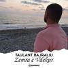 Zemra e Vdekur - Taulant Bajraliu