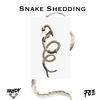 Snake Shedding (Explicit) - Randy V